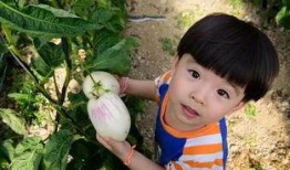 娱乐小瓜咔嚓吃,揭秘娱乐圈的美食诱惑