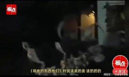 爆料徐州猴哥视频大全集,揭秘猴哥传奇故事