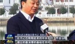 三乡新闻爆料,最新爆料揭示社区热点事件