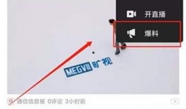 头条爆料视频怎么赚钱的,如何通过头条爆料视频轻松赚钱