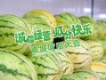快乐吃瓜全部免费观看,快乐吃瓜盛宴！