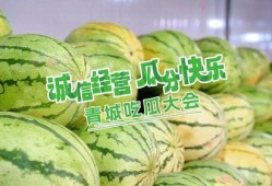 快乐吃瓜全部免费观看,快乐吃瓜盛宴！