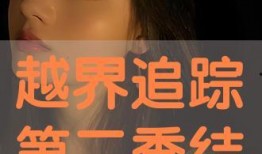 在线观看越界,揭秘网络直播的边界与挑战