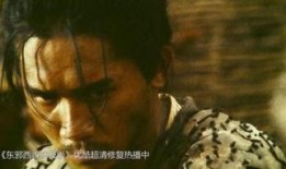 梁朝伟东邪西毒爆料视频,一场江湖梦的诞生