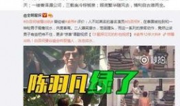 卓伟最新的爆料视频大全,揭秘娱乐圈风云变幻