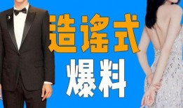 内娱记者爆料p图视频在线观看,揭秘娱乐圈幕后真相