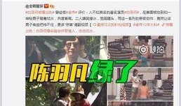 内娱记者爆料p图视频在线观看,揭秘娱乐圈幕后真相