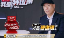 茅神爆料演员名单介绍视频,演员名单大揭秘，精彩阵容引期待