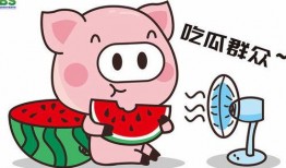 吃瓜的群众 娱乐八卦,揭秘“吃瓜群众”热追的娱乐八卦