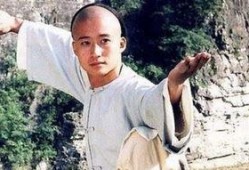 太极宗师电影在线观看,传承与对决，在线观看巅峰对决