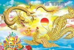 龙飞凤舞在线观看,在线观看，领略中华武术之美