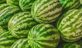 哪里可以免费看吃瓜,畅享娱乐盛宴的绝佳途径