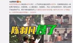 黄子诚视频爆料最新消息,揭秘娱乐圈最新动态