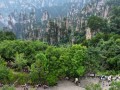 张家界最新新闻爆料,神秘洞穴发现罕见生物，探险之旅再掀热潮