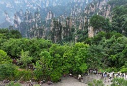 张家界最新新闻爆料,神秘洞穴发现罕见生物，探险之旅再掀热潮
