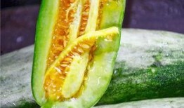 俄罗斯网红吃瓜,吃瓜大作战！